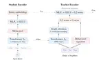 Learning Transferable Representations from Operating System Entities via Provenance Graph Distillation